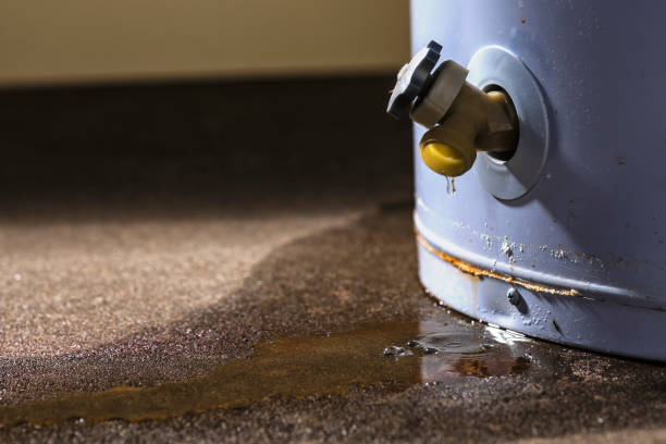 Best Flood restoration services  in Stoneville, NC