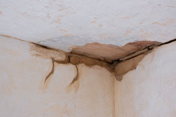 Best Flooded house restoration  in Stoneville, NC