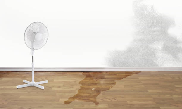 Best Water damage restoration near me  in Stoneville, NC