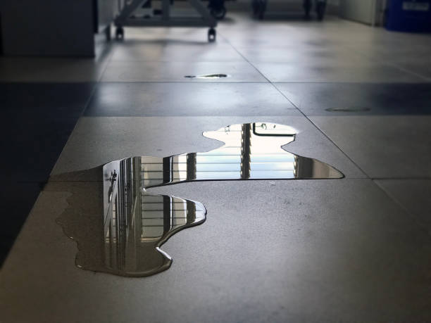 Best Professional water damage repair  in Stoneville, NC