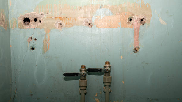 Best Fire Damage Restoration  in Stoneville, NC