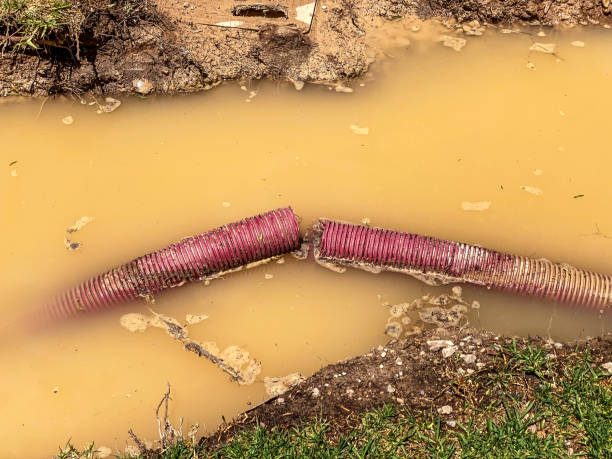 Best Flood damage cleanup  in Stoneville, NC