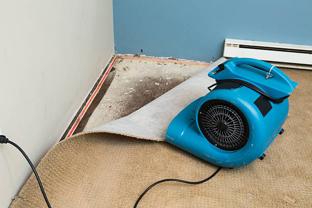 Best Professional water damage repair  in Stoneville, NC
